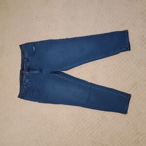 Universal Standard - Seine Mid Rise Skinny Jeans 27 Inch - True Blue - 16